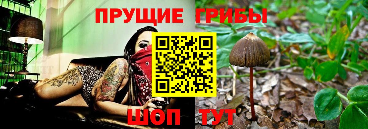 Галлюциногенные грибы Cubensis  Вход с VPN  Галлюциногенные грибы Magic Shrooms  Ахтубинск 