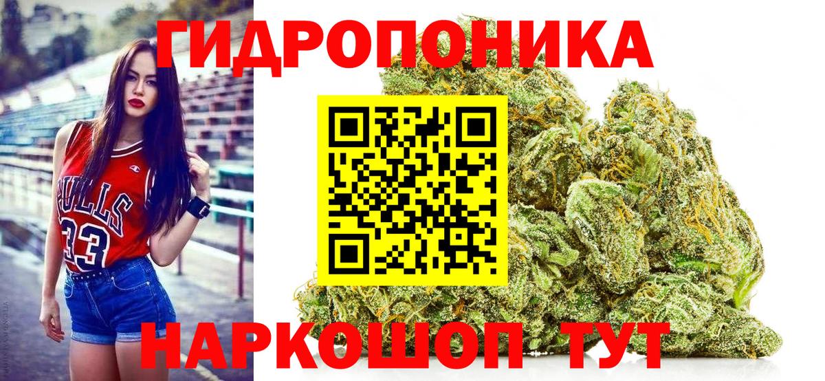 Канабис семена  Вход с VPN  Канабис конопля  Ахтубинск  Шишки марихуана сатива 